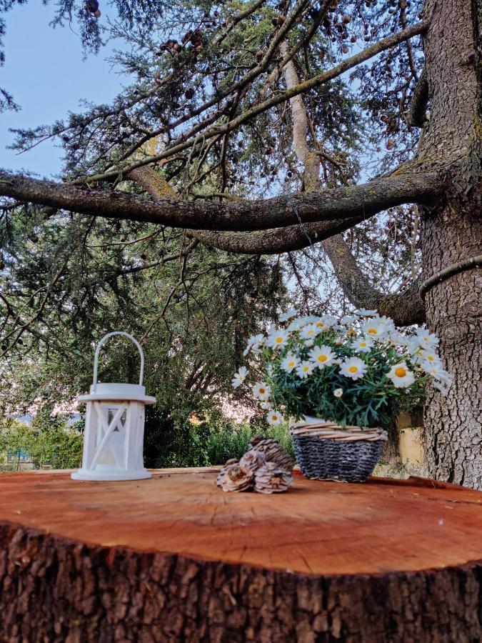 בולגרי Relais Felciaino B&B מראה חיצוני תמונה