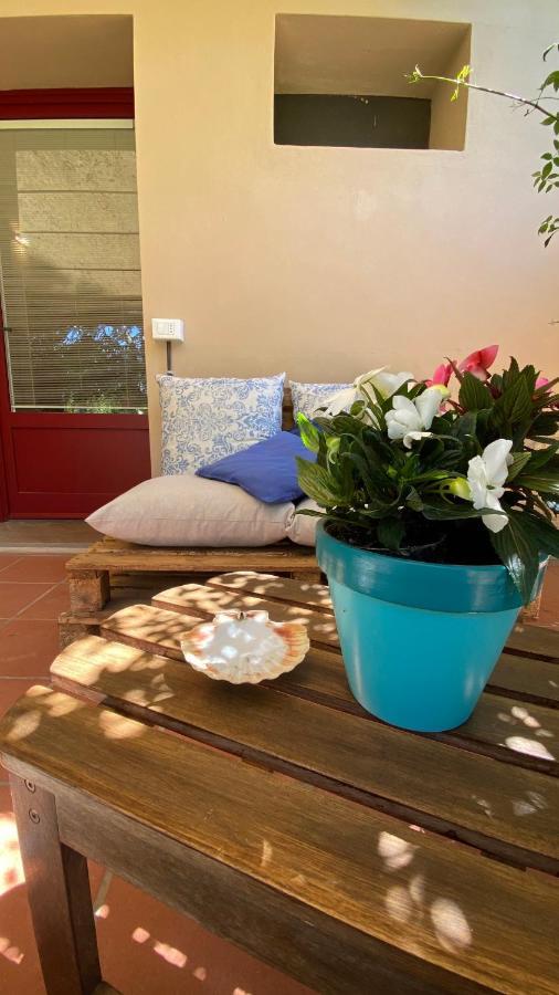 בולגרי Relais Felciaino B&B מראה חיצוני תמונה